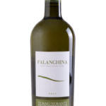 Falanghina 2023